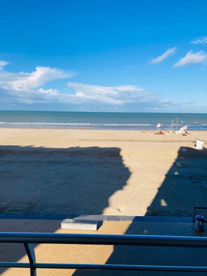 Very Spacious Family Apartment With Seaview T16 奥斯滕德 外观 照片